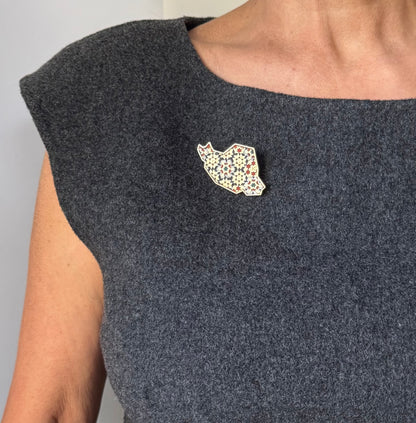 IRAN Pin/ Brooch